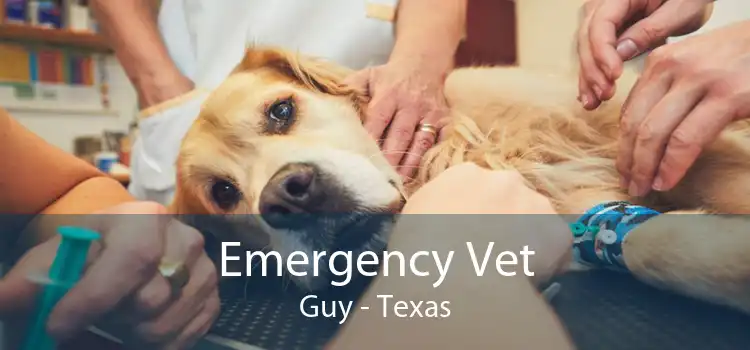 Emergency Vet Guy - Texas
