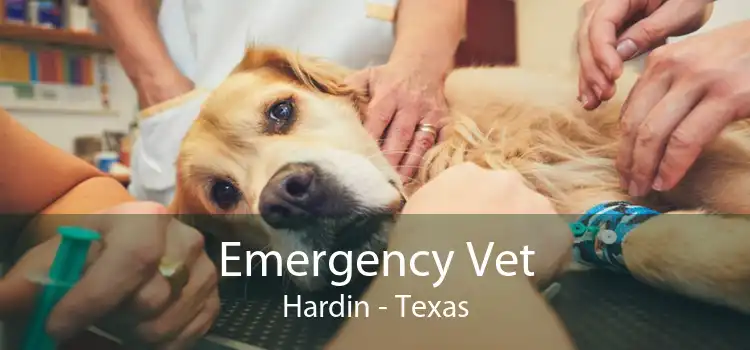 Emergency Vet Hardin - Texas