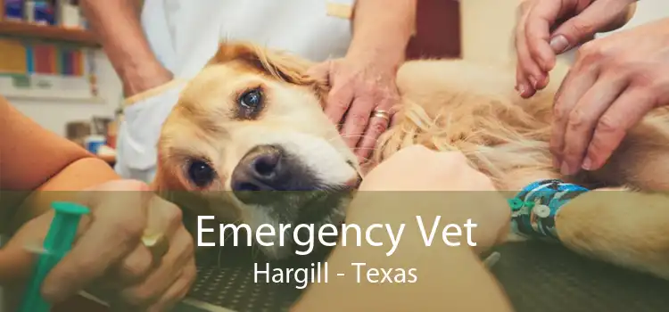 Emergency Vet Hargill - Texas