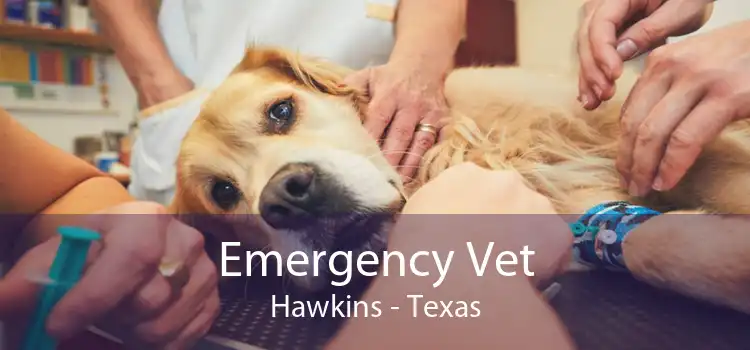 Emergency Vet Hawkins - Texas