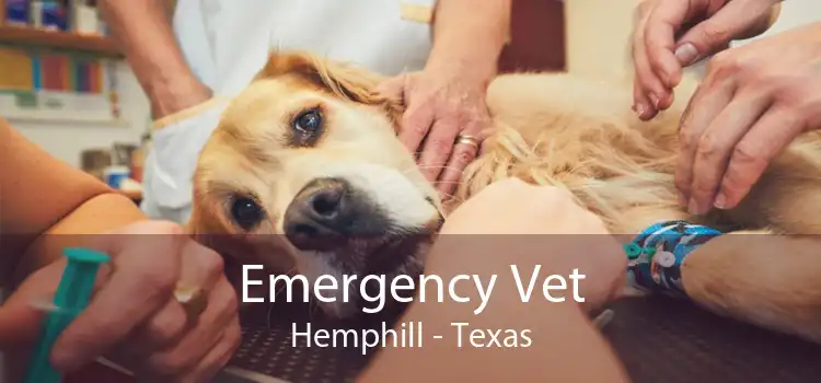 Emergency Vet Hemphill - Texas