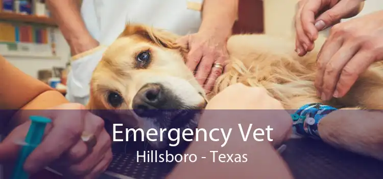 Emergency Vet Hillsboro - Texas