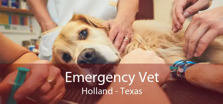 Emergency Vet Holland - Texas