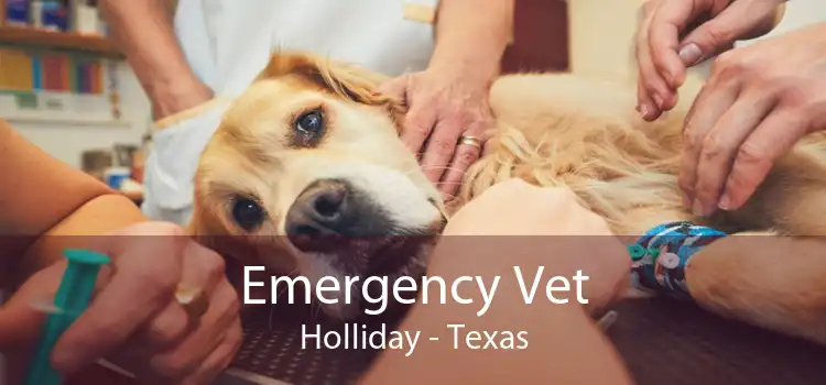 Emergency Vet Holliday - Texas