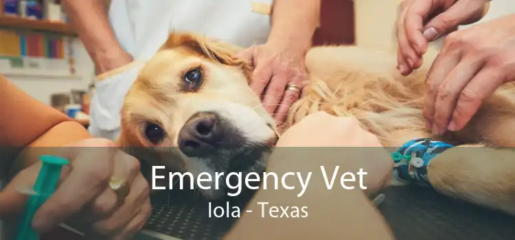 Emergency Vet Iola - Texas