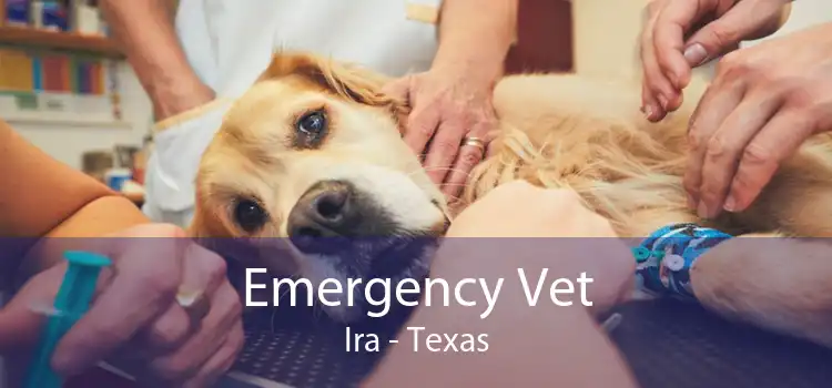 Emergency Vet Ira - Texas