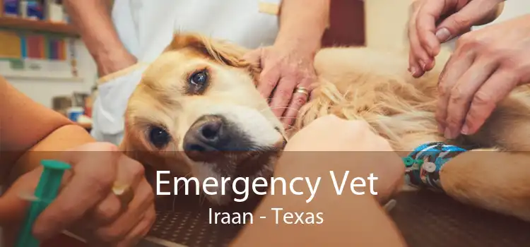 Emergency Vet Iraan - Texas