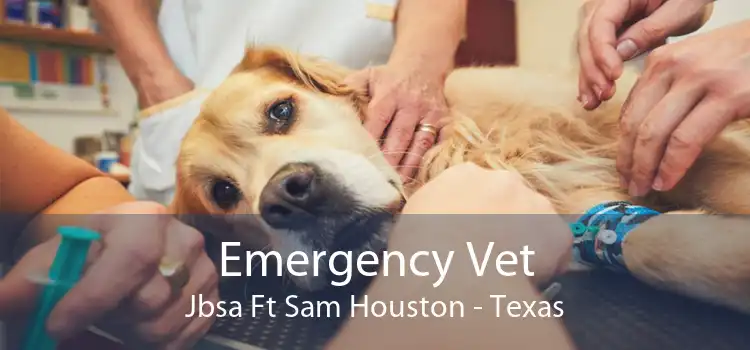 Emergency Vet Jbsa Ft Sam Houston - Texas