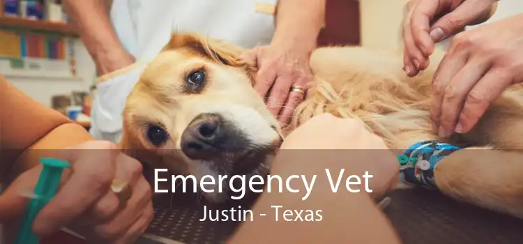 Emergency Vet Justin - Texas