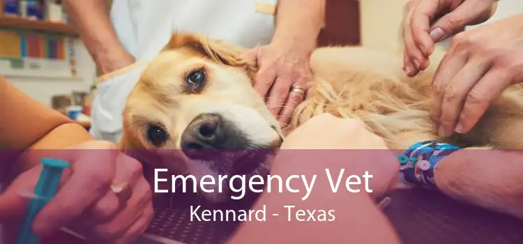 Emergency Vet Kennard - Texas