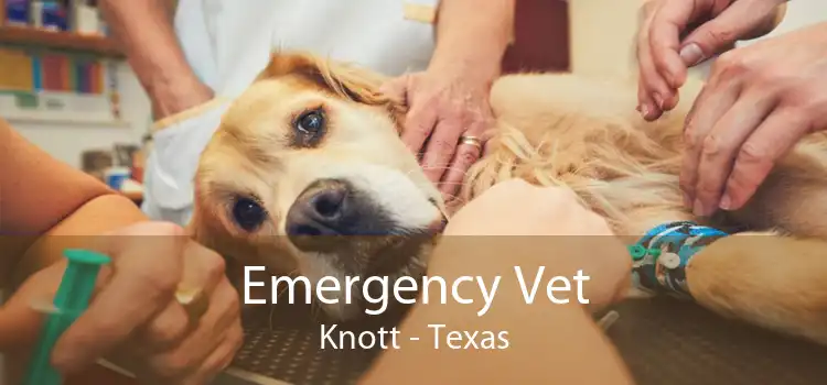 Emergency Vet Knott - Texas