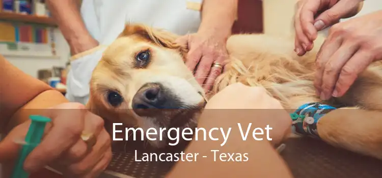 Emergency Vet Lancaster - Texas