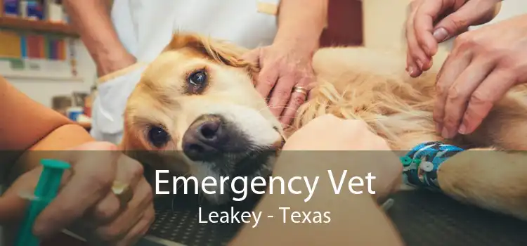 Emergency Vet Leakey - Texas