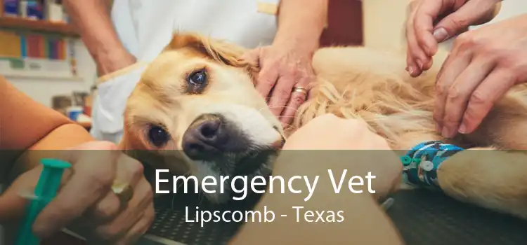 Emergency Vet Lipscomb - Texas