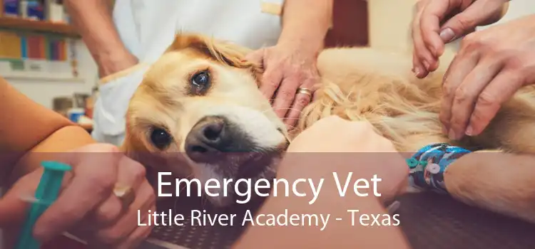 Emergency Vet Little River Academy - Texas