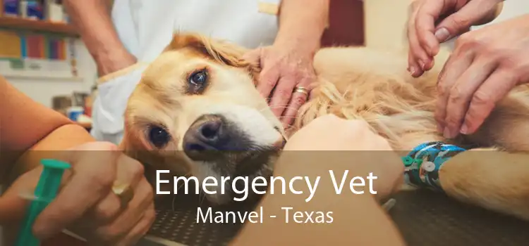 Emergency Vet Manvel - Texas