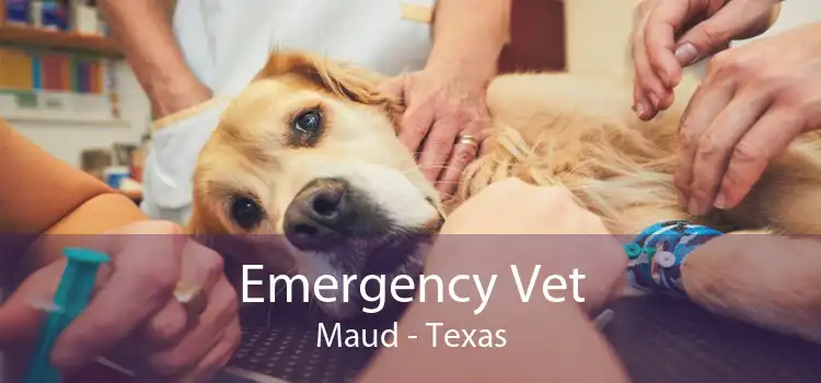 Emergency Vet Maud - Texas