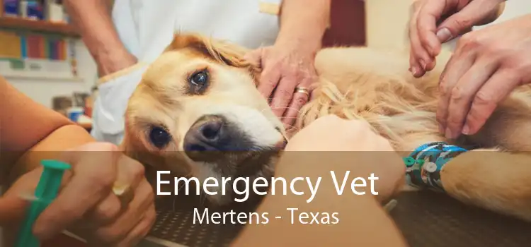 Emergency Vet Mertens - Texas