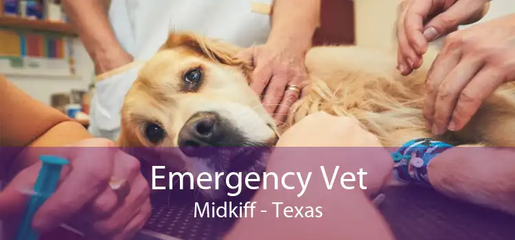 Emergency Vet Midkiff - Texas