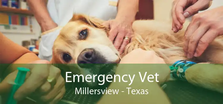 Emergency Vet Millersview - Texas