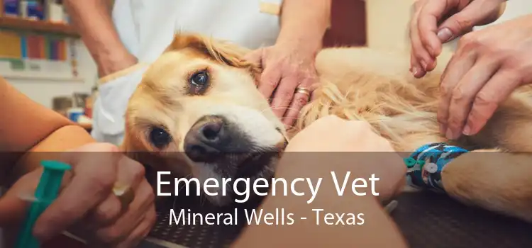 Emergency Vet Mineral Wells - Texas