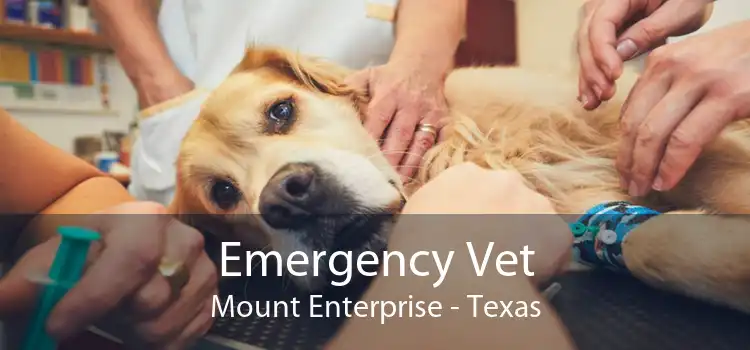 Emergency Vet Mount Enterprise - Texas