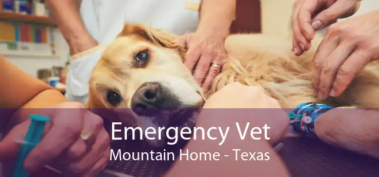 Emergency Vet Mountain Home - Texas