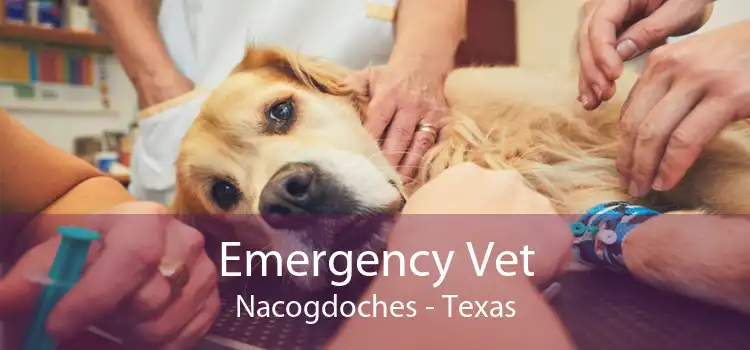 Emergency Vet Nacogdoches - Texas