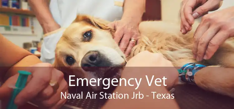 Emergency Vet Naval Air Station Jrb - Texas