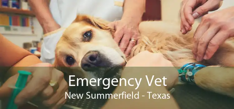 Emergency Vet New Summerfield - Texas