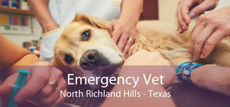 Emergency Vet North Richland Hills - Texas