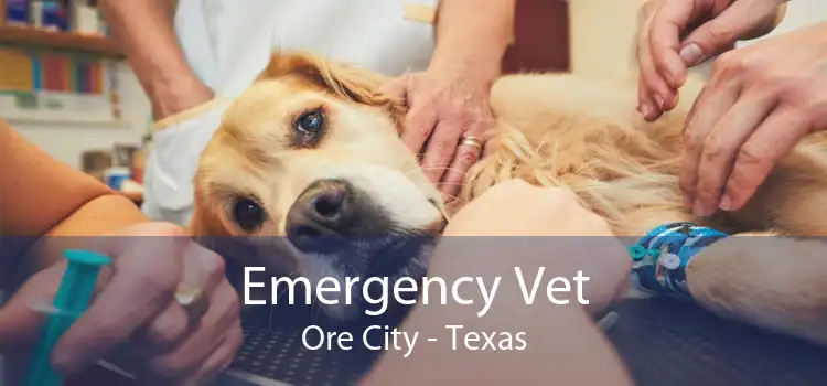 Emergency Vet Ore City - Texas