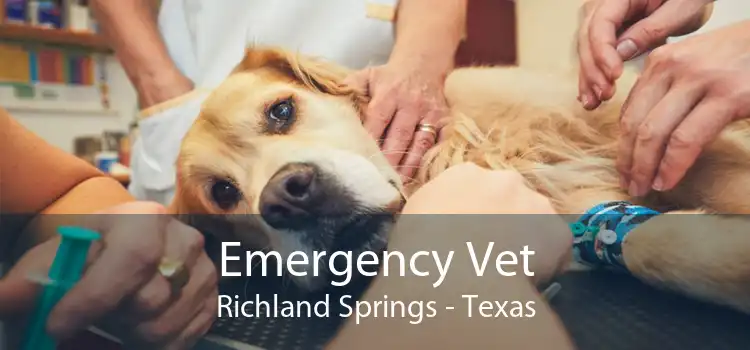 Emergency Vet Richland Springs - Texas