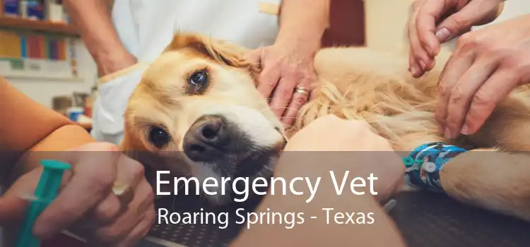 Emergency Vet Roaring Springs - Texas