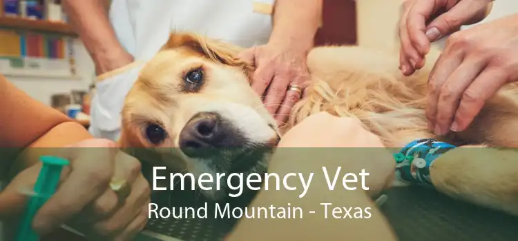 Emergency Vet Round Mountain - Texas