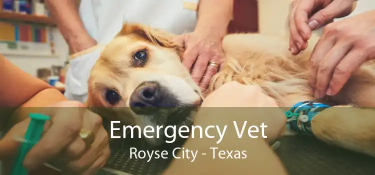 Emergency Vet Royse City - Texas