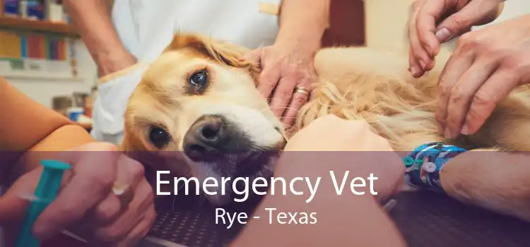 Emergency Vet Rye - Texas