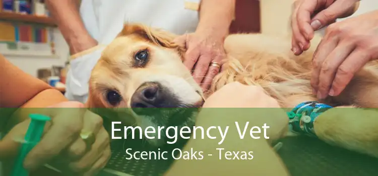 Emergency Vet Scenic Oaks - Texas