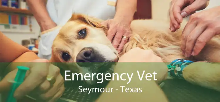 Emergency Vet Seymour - Texas