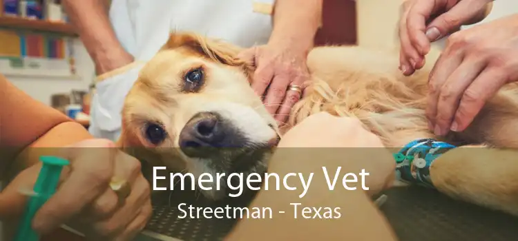 Emergency Vet Streetman - Texas