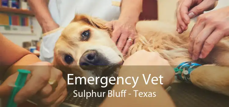 Emergency Vet Sulphur Bluff - Texas