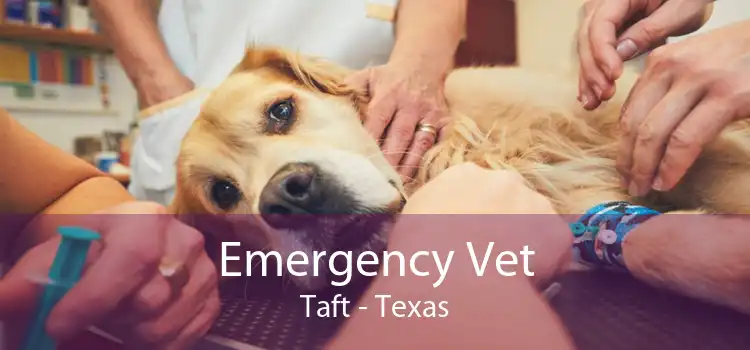 Emergency Vet Taft - Texas