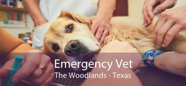 Emergency Vet The Woodlands - Texas