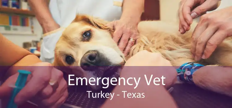 Emergency Vet Turkey - Texas