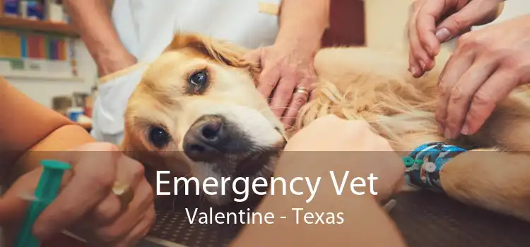 Emergency Vet Valentine - Texas