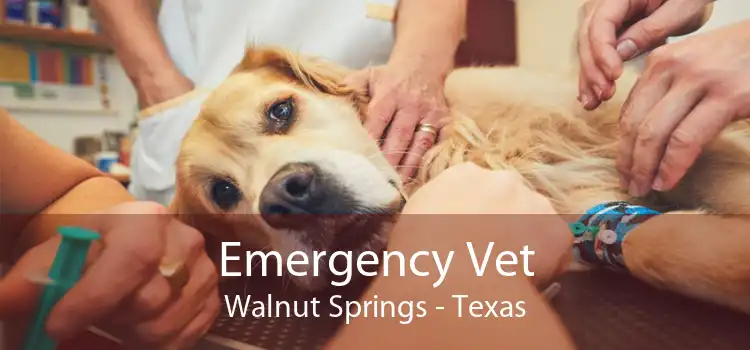 Emergency Vet Walnut Springs - Texas
