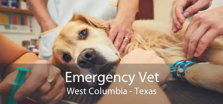 Emergency Vet West Columbia - Texas