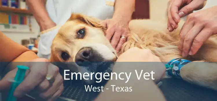 Emergency Vet West - Texas