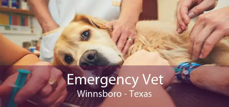 Emergency Vet Winnsboro - Texas