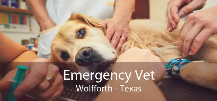 Emergency Vet Wolfforth - Texas